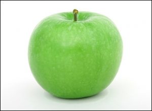 枠を付けた画像